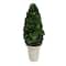 17&#x27;&#x27; Boxwood Cone Topiary in White Clay Pot